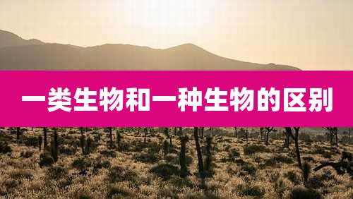 一类生物和一种生物的区别
