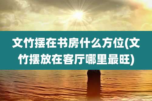 文竹摆在书房什么方位(文竹摆放在客厅哪里最旺)