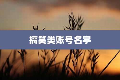 搞笑类账号名字