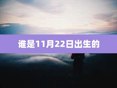 谁是11月22日出生的