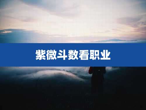 紫微斗数看职业