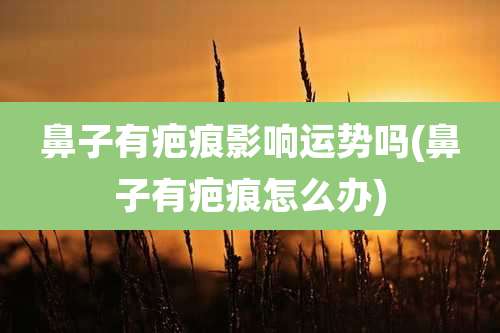 鼻子有疤痕影响运势吗(鼻子有疤痕怎么办)