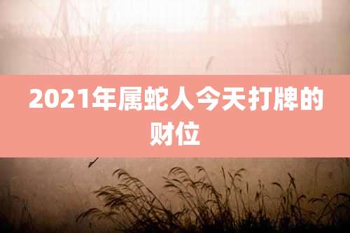 2021年属蛇人今天打牌的财位