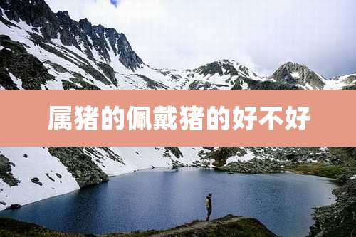属猪的佩戴猪的好不好