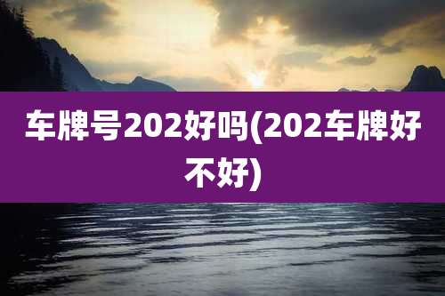车牌号202好吗(202车牌好不好)