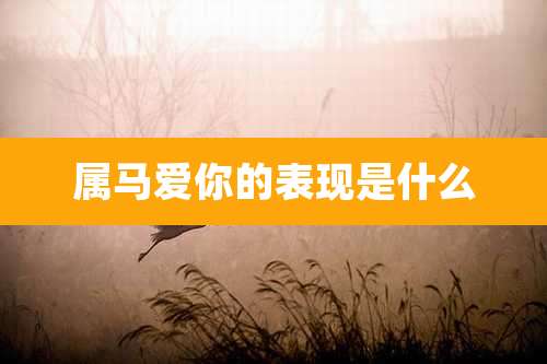 属马爱你的表现是什么