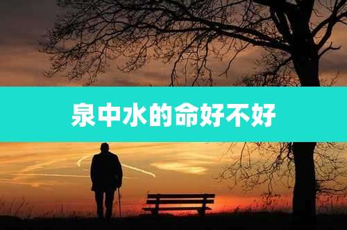 泉中水的命好不好