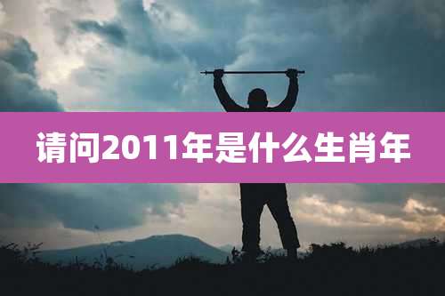 请问2011年是什么生肖年