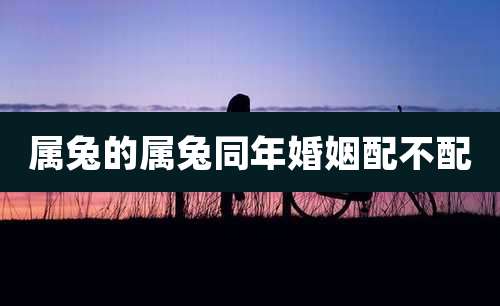 属兔的属兔同年婚姻配不配