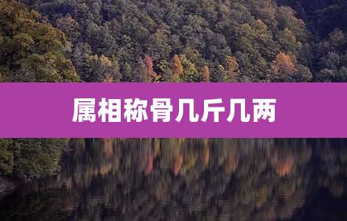 属相称骨几斤几两