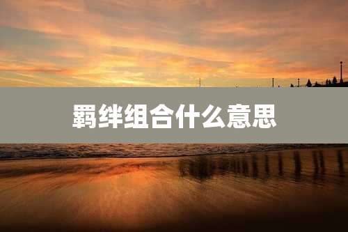 羁绊组合什么意思