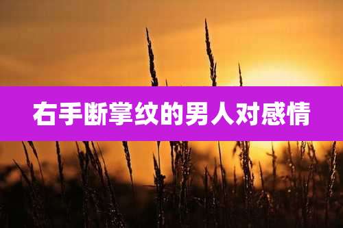 右手断掌纹的男人对感情