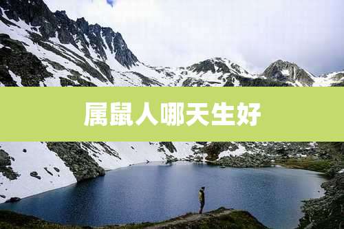 属鼠人哪天生好