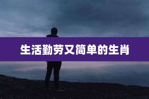 生活勤劳又简单的生肖