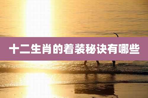 十二生肖的着装秘诀有哪些