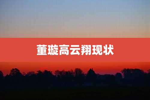 董璇高云翔现状