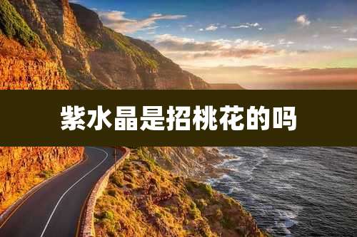 紫水晶是招桃花的吗