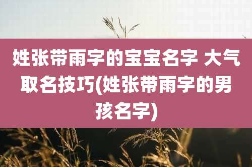 姓张带雨字的宝宝名字 大气取名技巧(姓张带雨字的男孩名字)