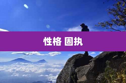 性格 固执
