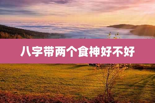 八字带两个食神好不好