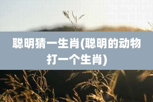 聪明猜一生肖(聪明的动物打一个生肖)