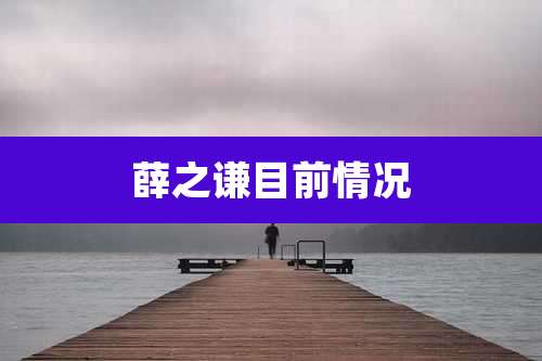 薛之谦目前情况