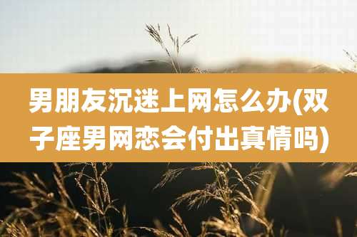 男朋友沉迷上网怎么办(双子座男网恋会付出真情吗)