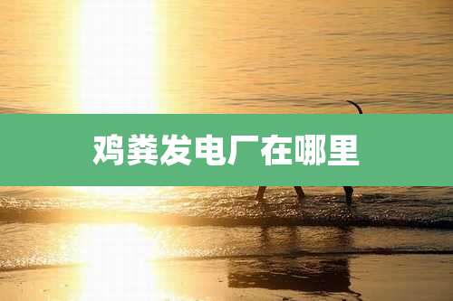 鸡粪发电厂在哪里
