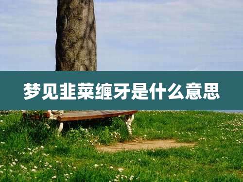 梦见韭菜缠牙是什么意思