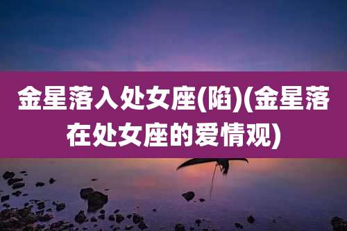 金星落入处女座(陷)(金星落在处女座的爱情观)