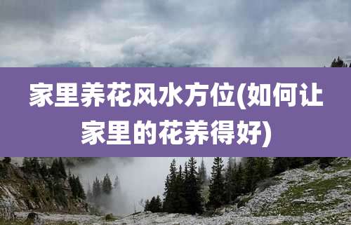 家里养花风水方位(如何让家里的花养得好)
