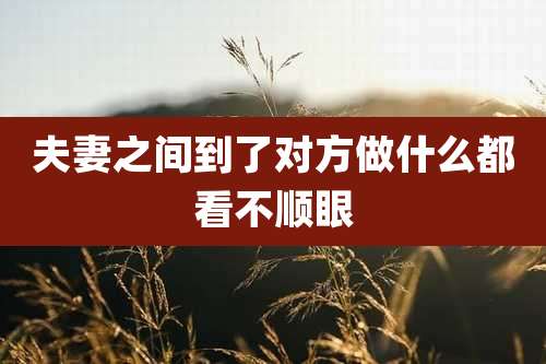 夫妻之间到了对方做什么都看不顺眼