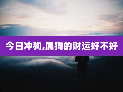 今日冲狗,属狗的财运好不好