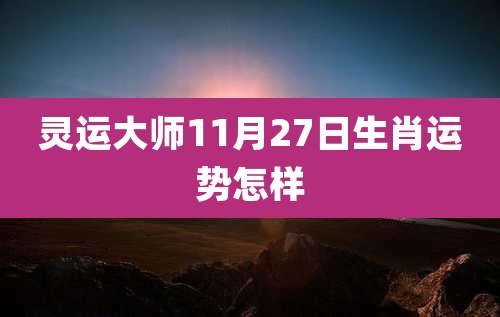 灵运大师11月27日生肖运势怎样