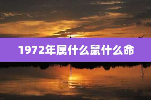 1972年属什么鼠什么命