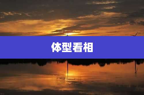 体型看相