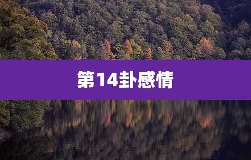 第14卦感情