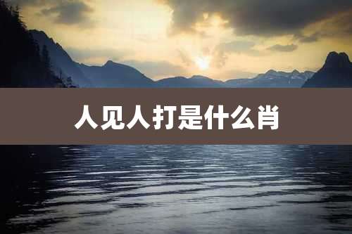 人见人打是什么肖