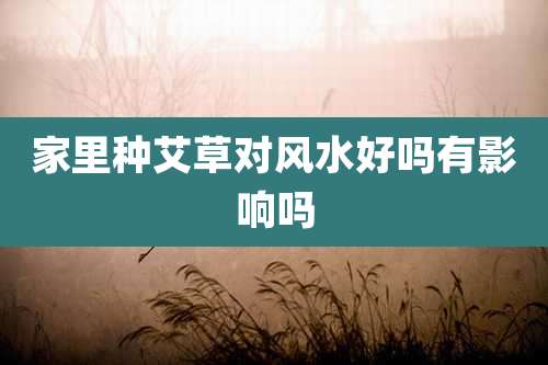 家里种艾草对风水好吗有影响吗