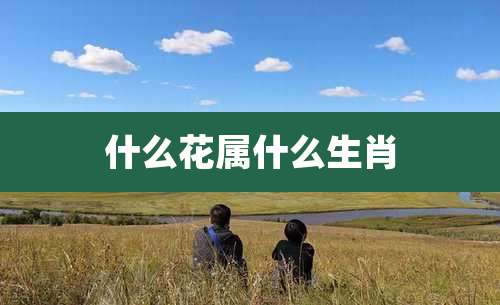 什么花属什么生肖