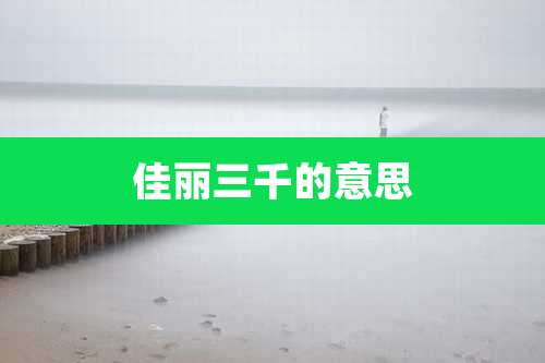 佳丽三千的意思