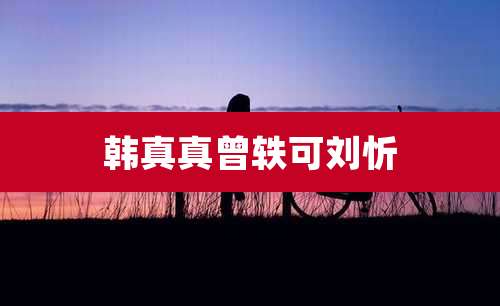 韩真真曾轶可刘忻