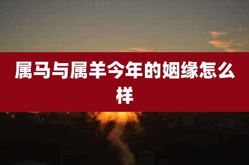 属马与属羊今年的姻缘怎么样