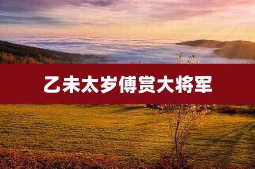 乙未太岁傅赏大将军