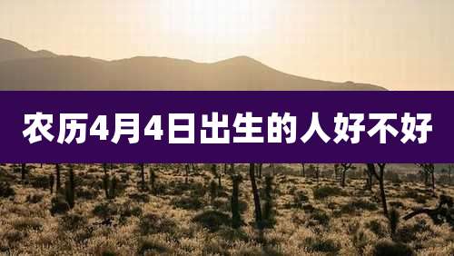 农历4月4日出生的人好不好