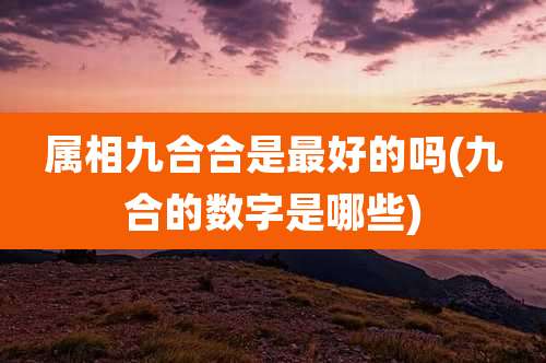 属相九合合是最好的吗(九合的数字是哪些)