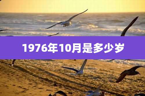 1976年10月是多少岁