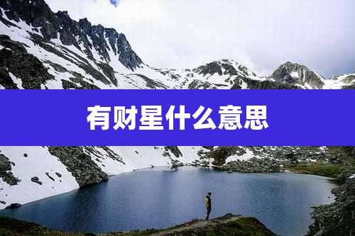 有财星什么意思