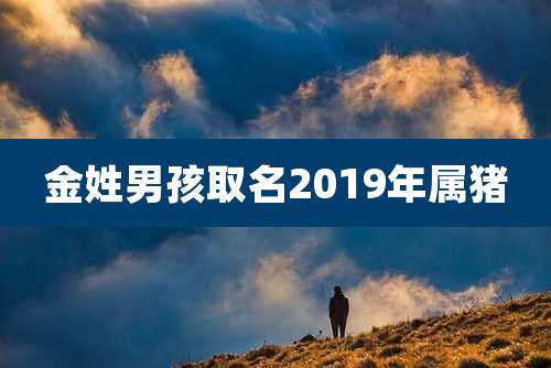金姓男孩取名2019年属猪