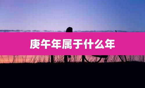 庚午年属于什么年